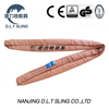 6t brunneis mollis undique