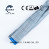 Dlt spinas 4t undling elevatio balteus cum en