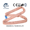 6t brunneis mollis undique