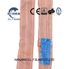 6t brunneis mollis undique