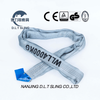 Dlt spinas 4t undling elevatio balteus cum en